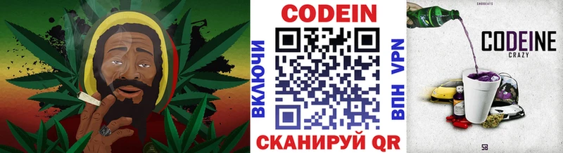 Купить где  Гремячинск  Кодеиновый сироп Lean напиток Lean (лин) 