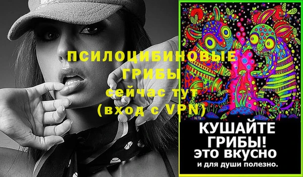 spice Краснослободск