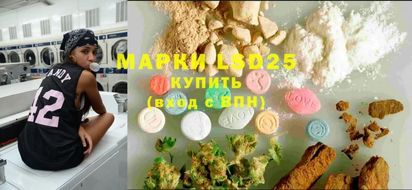 PSILOCYBIN Краснотурьинск