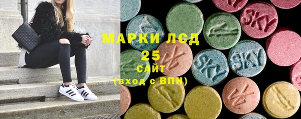 spice Краснослободск
