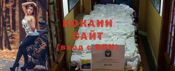 spice Краснослободск