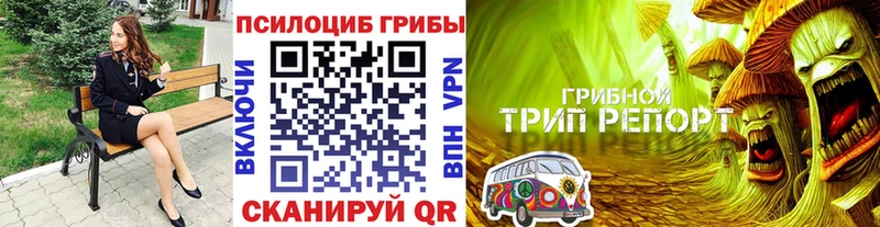 Купить закладки  Гремячинск  Галлюциногенные грибы мицелий 